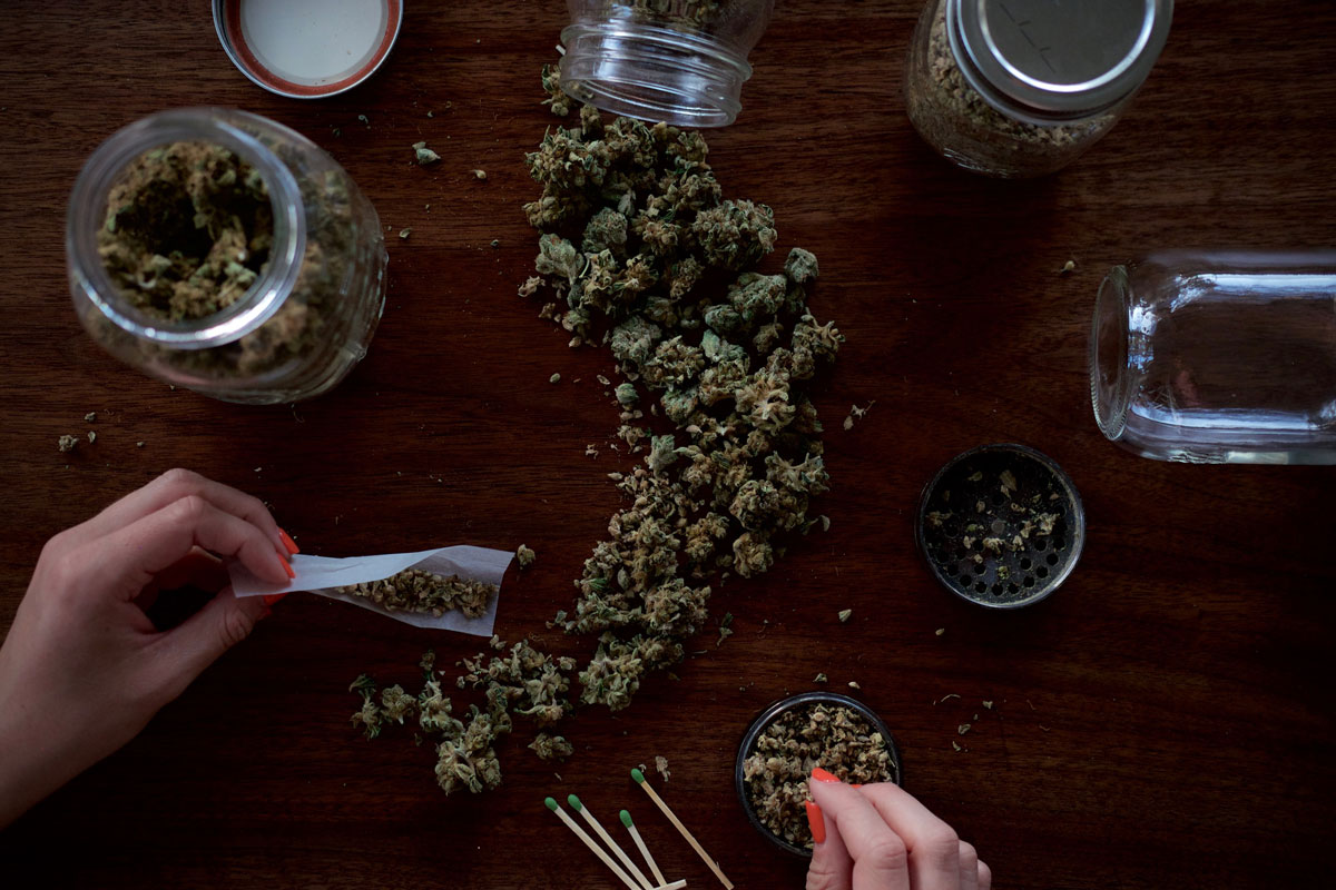 Cannabis Anbau Cannabisblüten professionell aushärten Cannazon